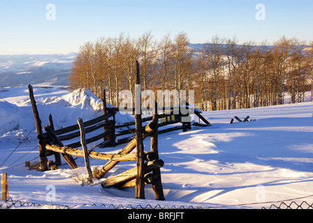 Old fence and aspens in snow at sunset, Cordillera, Colorado  Stock Photo