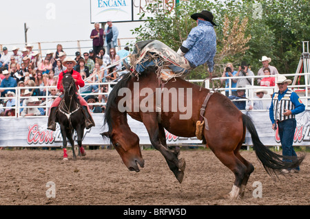 Cowboy, Bareback Bronc Riding, Strathmore Heritage Days, Rodeo Stock ...