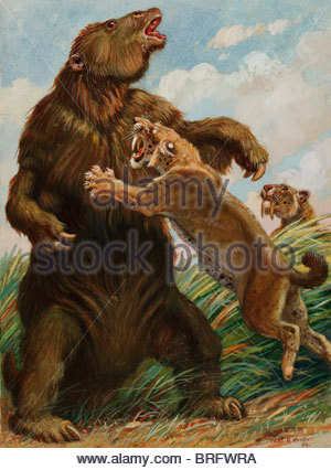 Megatherium Stock Photo - Alamy