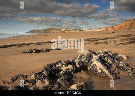 Widemouth bay, North Cornwall, England, UK Stock Photo