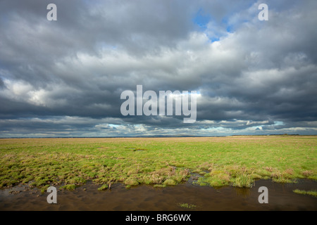 The River Ribble Estuary and Salt Marshes, from the air, west of ...