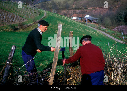 2, two, Frenchmen, French Basque men, shepherds, repairing wood fence, French Basque Country, village of Itxassou, France, Europe Stock Photo