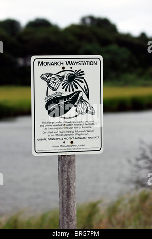 Monarch butterfly 'way station' - a protected area for migrating butterflies, Long Island, NY Stock Photo