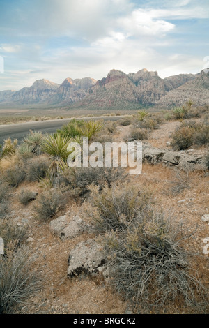 Red Rock Canyon at Sunset, Las Vegas, Nevada USA Stock Photo