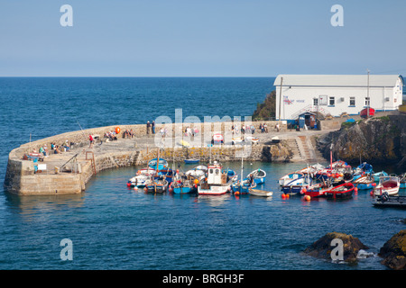 The harbour at Coverack Cornwall England UK Stock Photo