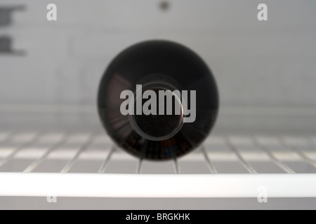 bottle of red wine chilling before serving in a fridge Stock Photo