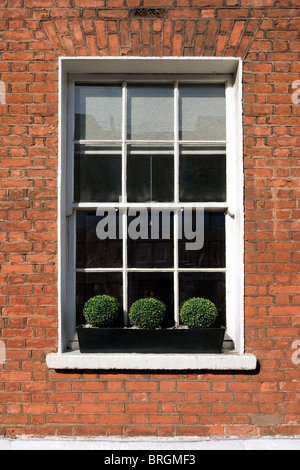 Georgian window in Dublin, Ireland Stock Photo
