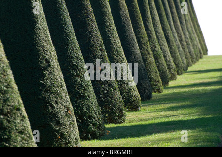 palace of versailles, france Stock Photo