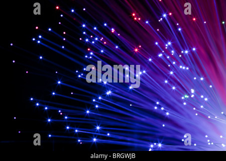 closeup on decorative blue and pink optic fibers under black background Stock Photo