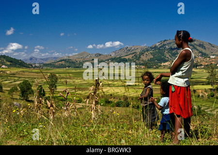 Rice paddies on high plateau of Madagascar Stock Photo