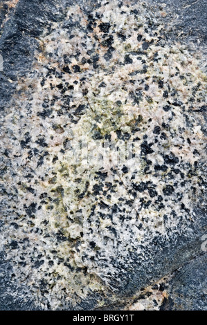 Close-up of the orbicular granite rock in Granito Orbicular Santuario de la Naturaleza Rodillo Atacama Chile South America Stock Photo