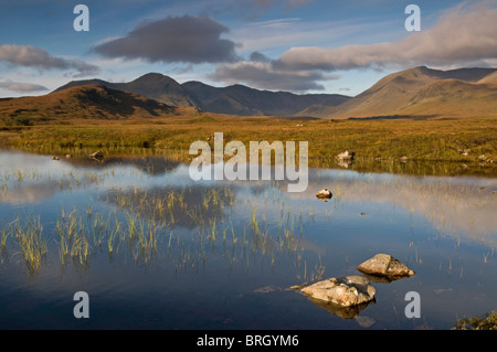 Morning sun across the bleak Landscape of Lochan na-Achlaise at Blackmount Rannoch Moor. Inverness-shire. Scotland  SCO 6791 Stock Photo