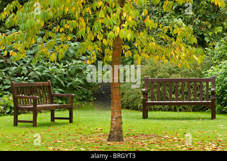 Empty Park benches in autumn, UK Stock Photo