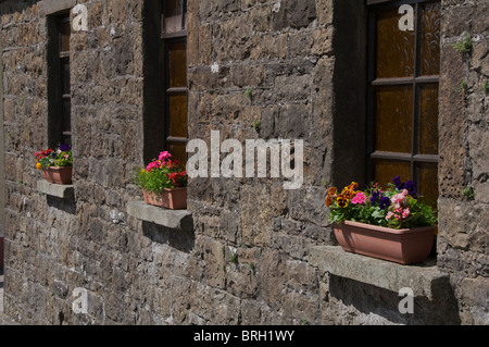 Window boxes on the window sills of an old stone building in Ballycastle, Co. Mayo, Ireland Stock Photo