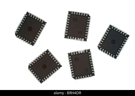 Integrated Circuits in black isolated on white background Stock Photo