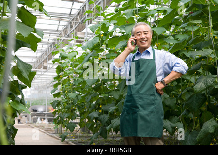Farmer talk on the phone in modern farm Stock Photo