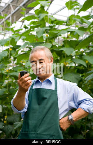 Farmer looking at cellphone in modern farm Stock Photo