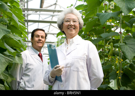 Scientists doing research in modern farm Stock Photo
