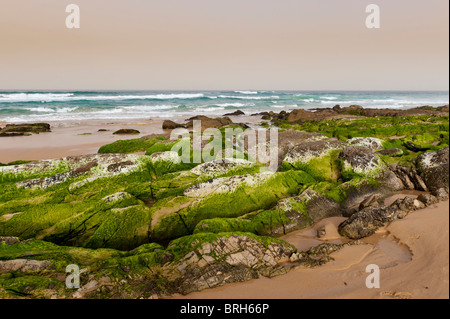 Dalmeny Beach in a dust storm. NSW, Australia Stock Photo - Alamy