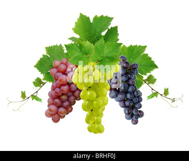 Three decorative fresh grape clusters Stock Photo
