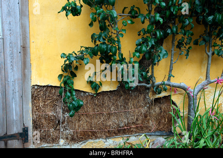Straw bale building - repairing lime plaster which after 15 years had cracked caused by settling of the wheat bales Stock Photo