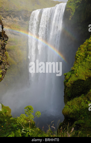 Rainbow Over Skogafoss Waterfall, Skogar, South Iceland, Iceland Stock Photo