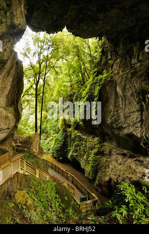 Mangapohue Natural Bridge, Waikato, North Island, New Zealand Stock Photo