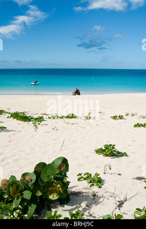 Darkwood Beach, Antigua, West Indies, Caribbean, Central America Stock Photo