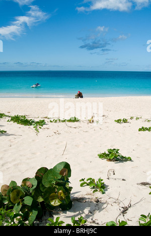Darkwood Beach, Antigua, West Indies, Caribbean, Central America