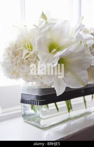 Flowers on Window Sill Stock Photo