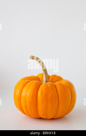 cute little pumpkin on white Stock Photo