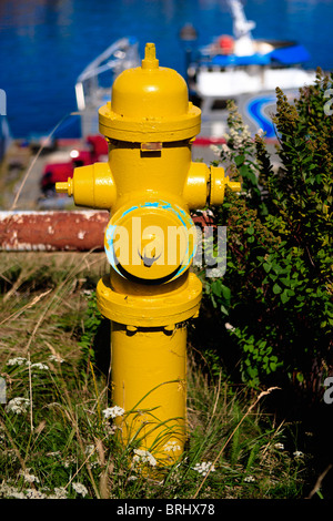 Yellow Fire hydrant Stock Photo