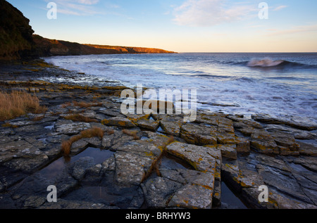 Late afternoon in January at Howick Scar on the Northumberland Coast ...