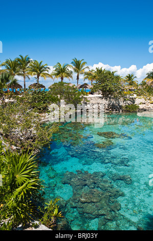 Mexico, Cozumel. Inland lagoon at Chankanaab Park, Isla Cozumel, Cozumel Island. Stock Photo