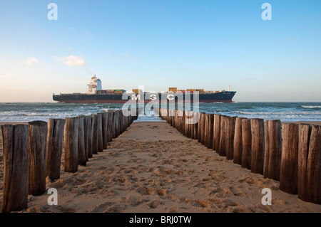 Container ship of the Mediterranean Shipping Line passes wooden breakwater, Zeeland, the Netherlands Stock Photo