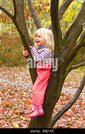 Vertical portrait of a young girl being a tomboy, climbing and sitting in a tree in the autumn. Stock Photo