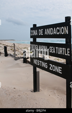 Mexico, Cozumel. Sea turtle nesting beach Punta Sur Park, Isla de Cozumel (Cozumel Island). Stock Photo