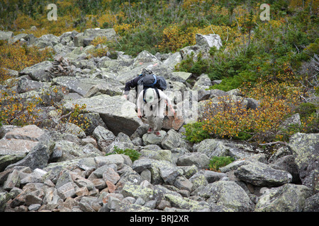 Hikers ascending King Ravine Trail. Located in King Ravine in the White Mountains, New Hampshire USA Stock Photo