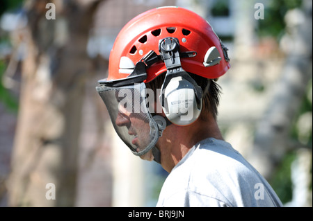 Safety helmet with ear defenders and visor as used my forestry workers ...