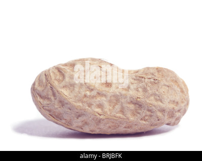 Single peanut isolated on white. Stock Photo