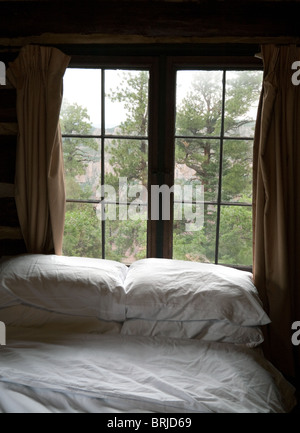 View from the log cabin window, Grand canyon Lodge, North Rim, Arizona USA Stock Photo