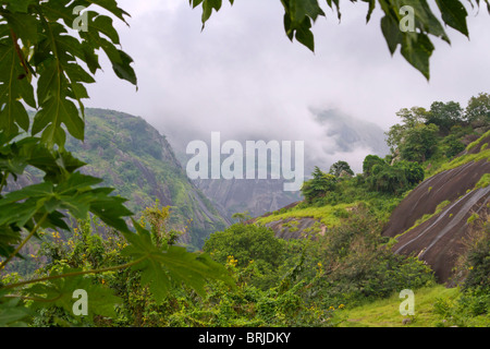 A mountain rain forest, Idanre, Ondo state, Nigeria; copy space ...