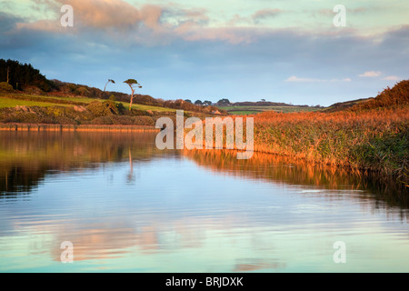 Loe Pool; Cornwall; sunset Stock Photo