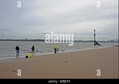 Men dragging nets for clams or cockles New Brighton beach on the River Mersey Wirral UK Stock Photo