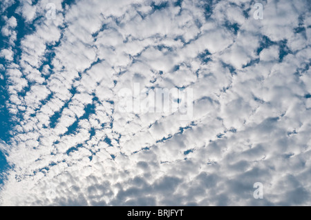 Mackerel sky / Altocumulus clouds formation - France. Stock Photo