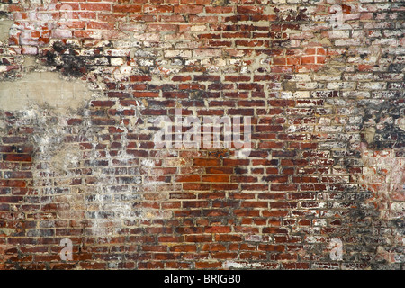 Brick Wall Stock Photo
