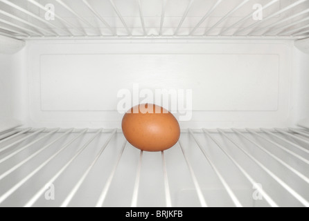 Single egg sitting on shelf inside refrigerator Stock Photo
