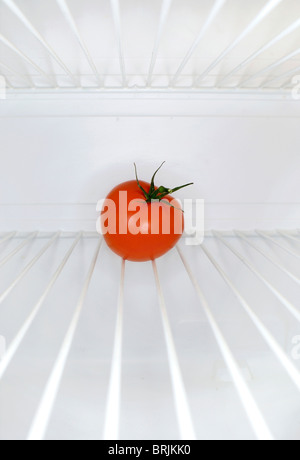 Single tomato sitting on shelf inside refrigerator Stock Photo