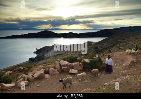 a woman with sheep, Isla del Sol, Lake Titicaca, Bolivia Stock Photo
