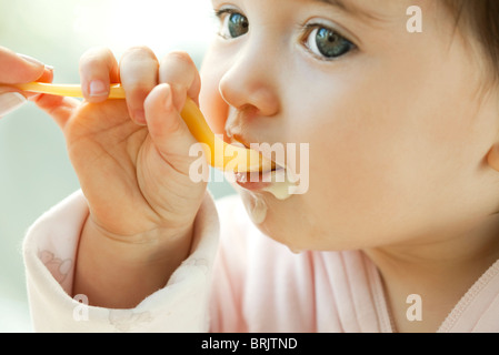 Infant learning to eat with a spoon Stock Photo